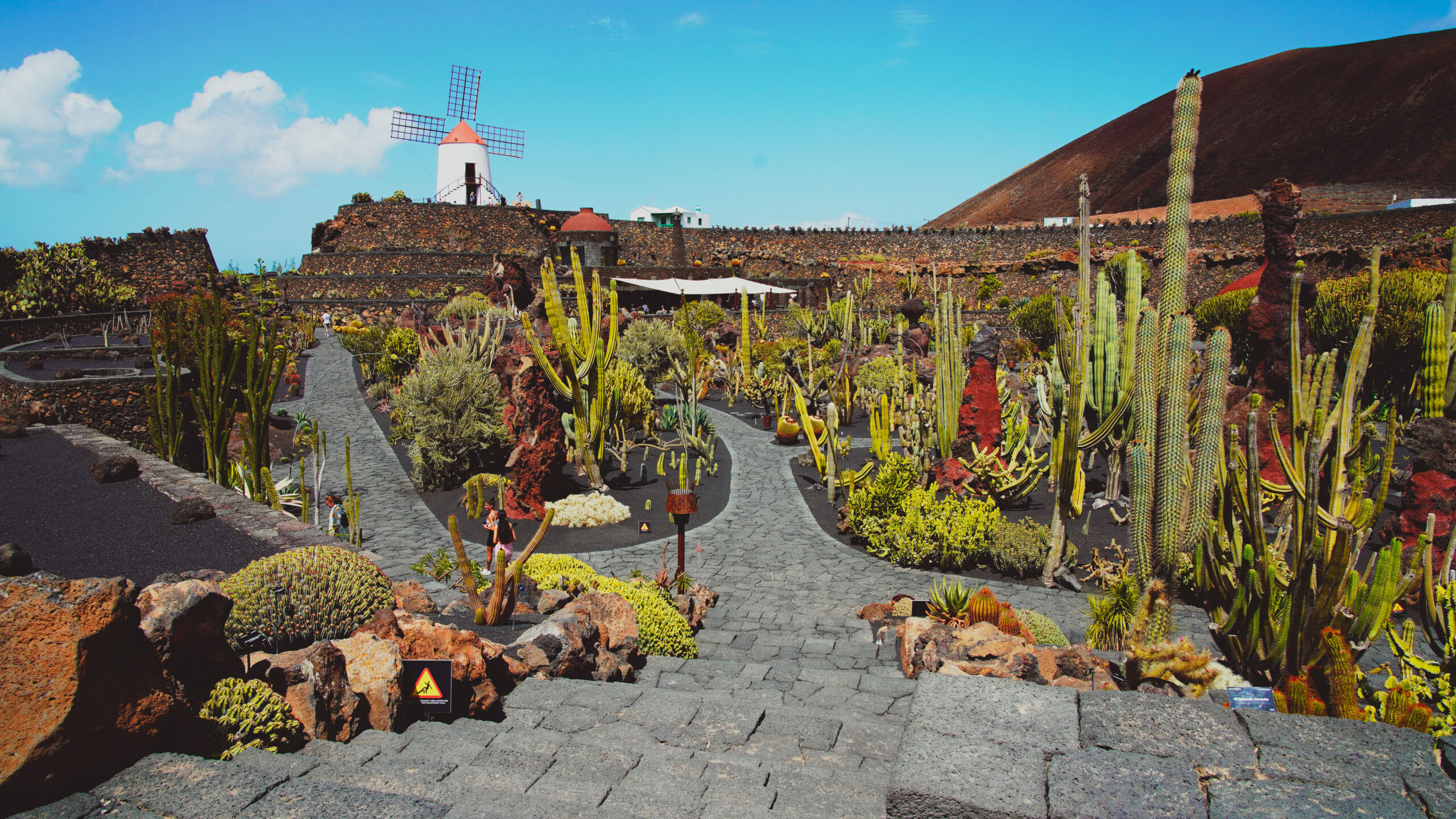 Lanzarote_Jardin-de-cactus_Touristbook